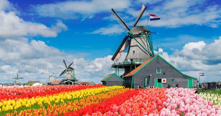 Energy reflections from The Netherlands